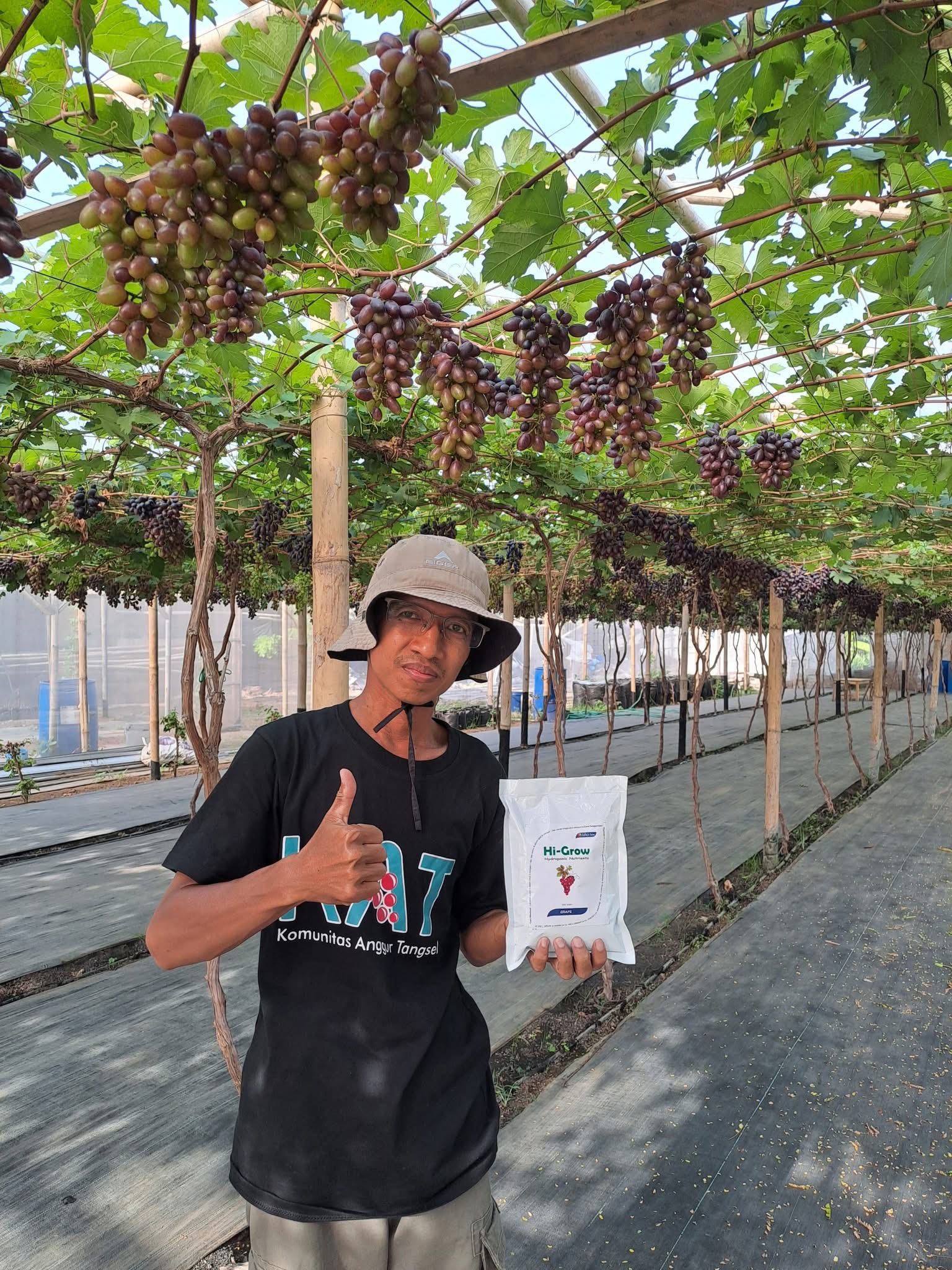 Kang Warso