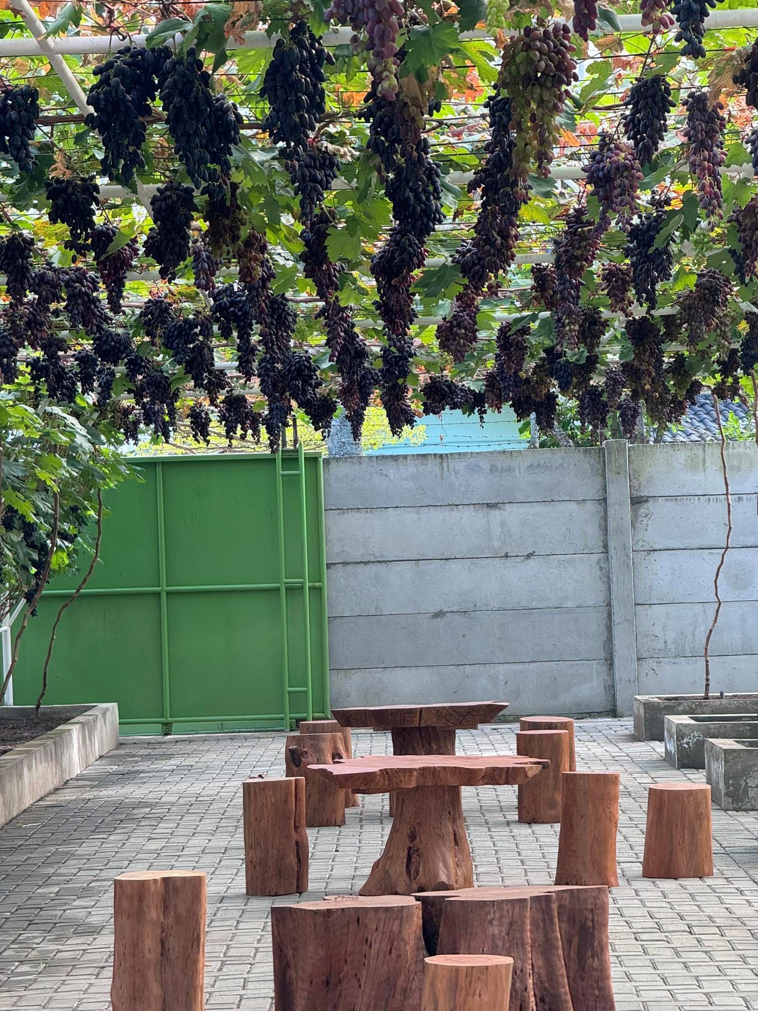 Berkebun